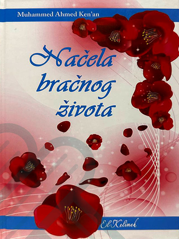 photo 2023 03 03 00 00 40 - IMB eShop